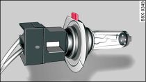 Bulb with connector - guide lug is highlighted